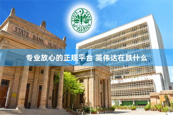 专业放心的正规平台 英伟达在跌什么