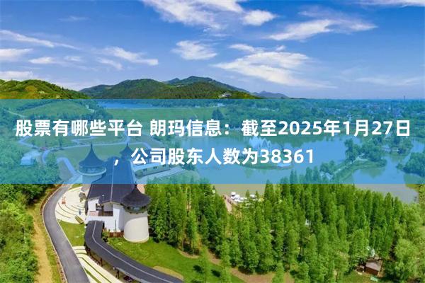 股票有哪些平台 朗玛信息：截至2025年1月27日，公司股东人数为38361