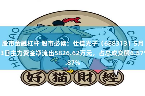 股市金融杠杆 股市必读：仕佳光子（688313）5月13日主力资金净流出5826.62万元，占总成交额6.87%