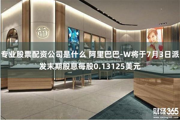 专业股票配资公司是什么 阿里巴巴-W将于7月3日派发末期股息每股0.13125美元