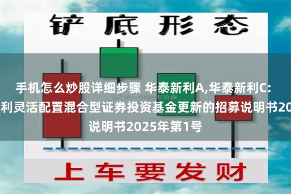 手机怎么炒股详细步骤 华泰新利A,华泰新利C: 华泰柏瑞新利灵活配置混合型证券投资基金更新的招募说明书2025年第1号
