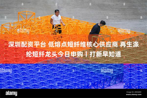 深圳配资平台 低熔点短纤维核心供应商 再生涤纶短纤龙头今日申购丨打新早知道
