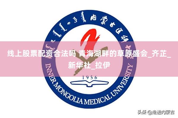 线上股票配资合法吗 青海湖畔的草原盛会_齐芷_新华社_拉伊
