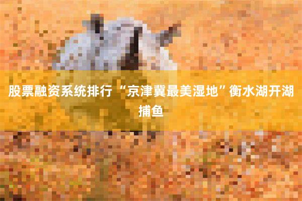 股票融资系统排行 “京津冀最美湿地”衡水湖开湖捕鱼