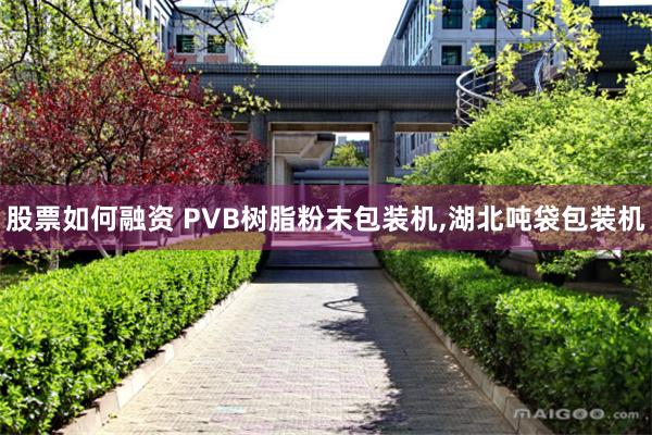股票如何融资 PVB树脂粉末包装机,湖北吨袋包装机