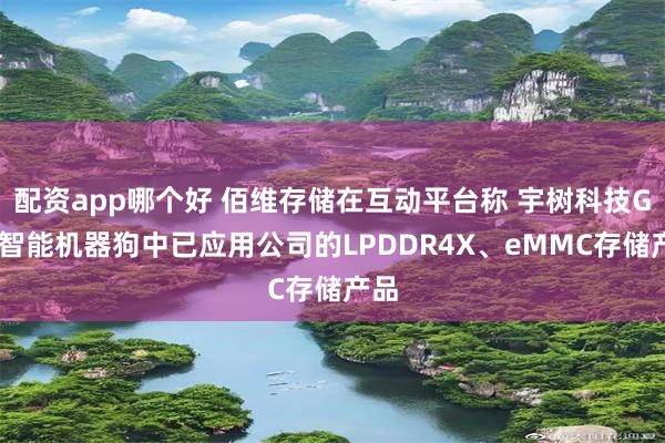 配资app哪个好 佰维存储在互动平台称 宇树科技Go2智能机器狗中已应用公司的LPDDR4X、eMMC存储产品